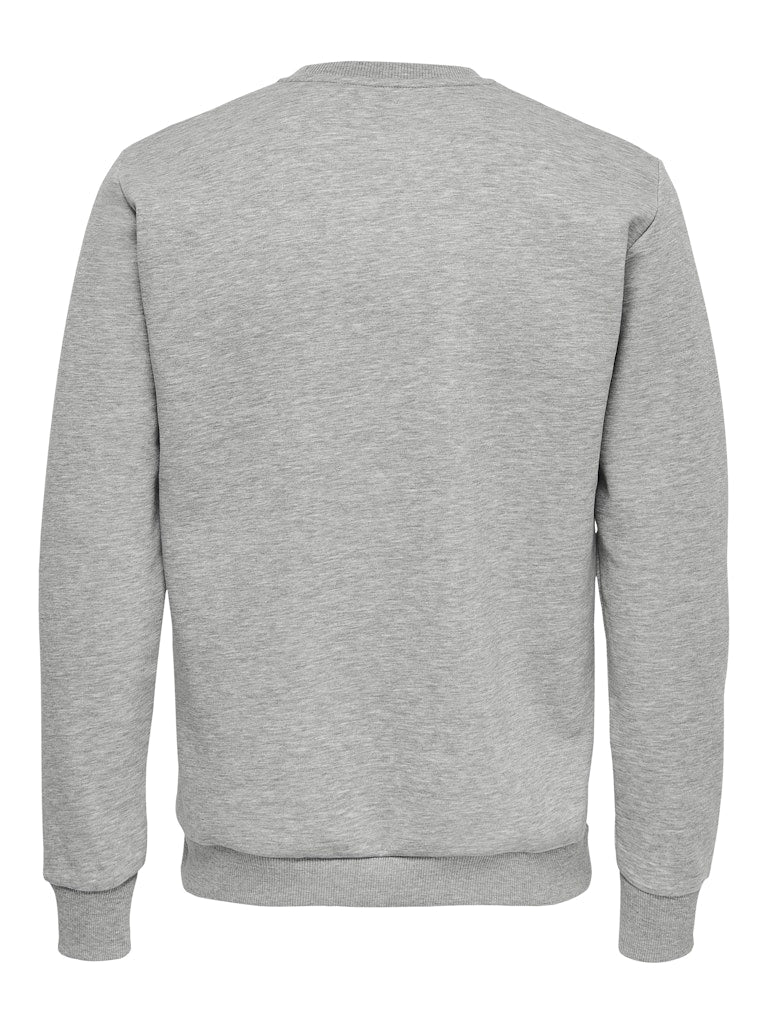 Gray sweatshirt on a white background By Only & Sons