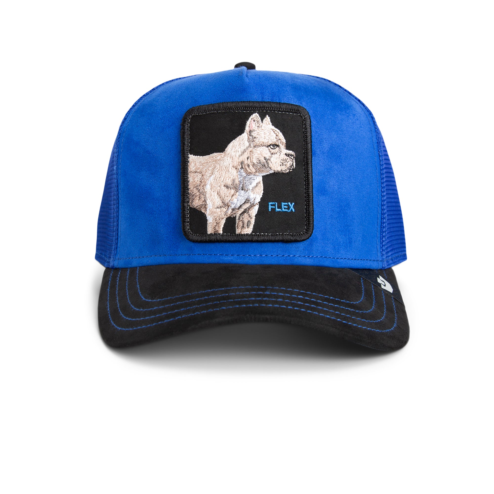 Blue suede Goorin Bros trucker hat with Flex dog patch